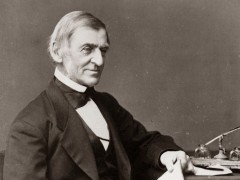 News paparazzi: Бизнестээ шарк ч улстөрд орк