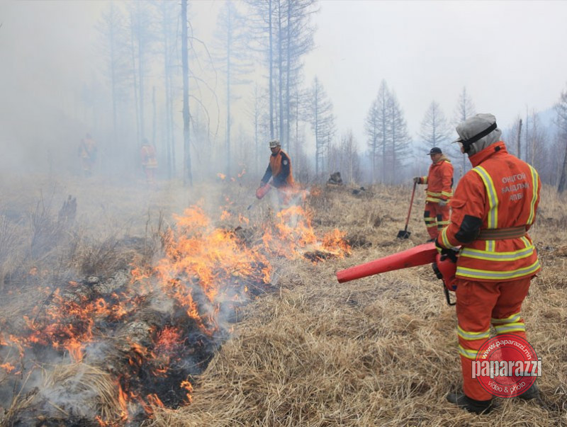 Улсын хэмжээнд 48 удаагийн ой, хээрийн түймэр бүртгэгдэж, 229 мянган га талбай өртжээ