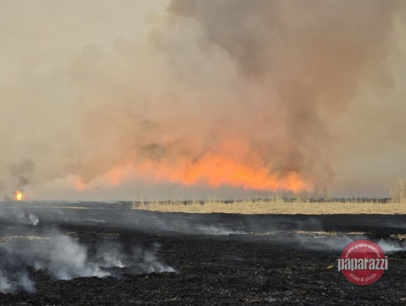 Ой хээрийн түймрийн аюулаас сэрэмжлүүлж байна