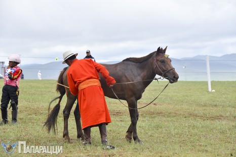 Мягмарцог Эрдэнцогт