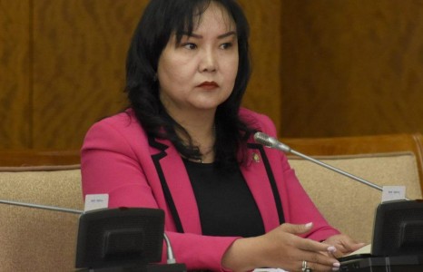 БАРИМТ: Н.Оюундарь гишүүн 80%-ийг нь эзэмшдэг компаниа хүүгийнхээ гэж 