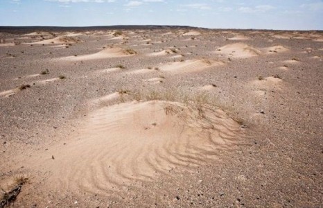 Монгол Улсын нутаг дэвсгэрийн 77.8 хувь нь цөлжжээ