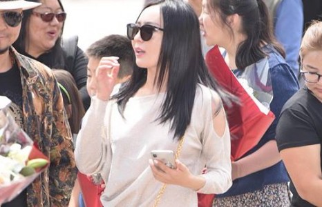 Гавьяат Аглуугийн үзэсгэлэнт гэргий