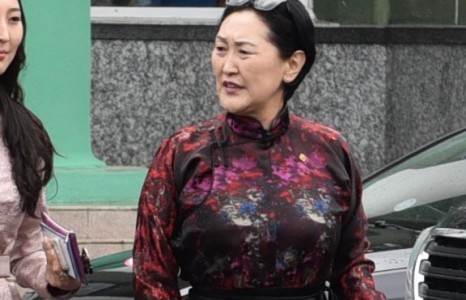 Сайд Ц.Цогзолмаагийн авангард дээл