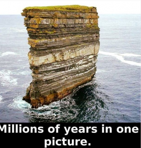 Гайхамшигтай...