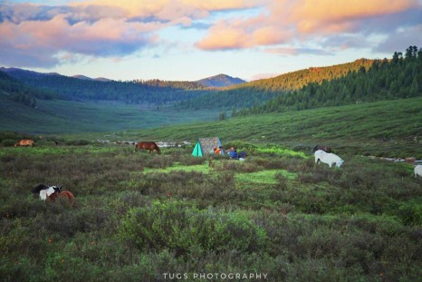 Монголын их амар амгалан...