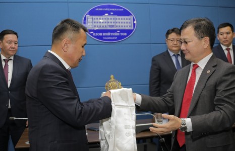 33 их наяд төгрөгийг Өршөөлийн хуульд хамруулсан гэх дуулианыг шалгаж, эздийг тогтоох уу...