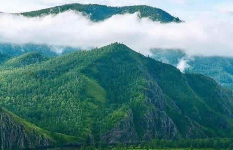 Тэшиг сум Эг Тарвагатайн бэлчир