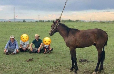 Г.Батсүх : Ж.Бат-Эрдэнэ сайд найзад маань айраг аягалаад “Чи ажлаа өг” гэж шахсан гэсэн, ҮНЭН байж магадгүй ...