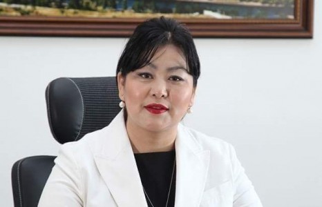 Хэвлэлийнхэнд хаяглах биш, эзэнд нь өг Ц.Одонтунгалаг дарга аа?