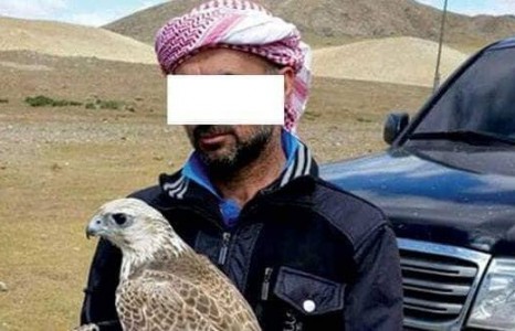 Арабууд БОАЖЯ-ны зөвшөөрөлтэйгээр шонхор барьсан байж магадгүй гэнэ үү