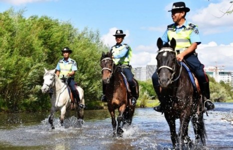 Туул голын дагуу морьт эргүүлүүд ажиллаж эхэлжээ