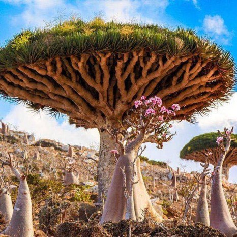 Мягмарцог Эрдэнцогт