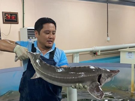 News paparazzi: Олимпийн аварга Э.Бадар-Ууган БНСУ-д загасны дэлгүүрт ажиллаж байна