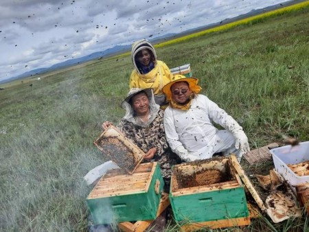 News Paparazzi:Ерөнхийлөгч асан Ц.Элбэгдорж Сэлэнгэ аймгаар аялаж, зөгийн аж ахуйгаар зочилжээ