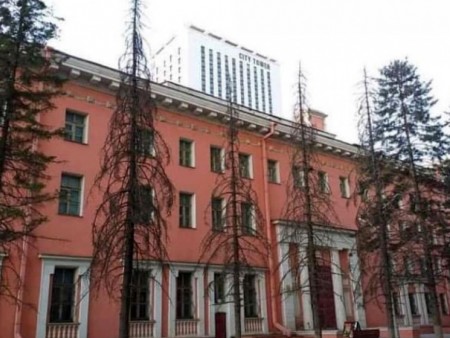 News paparazzi: Үхсэн моддыг тайрч, шинийг суулгажээ