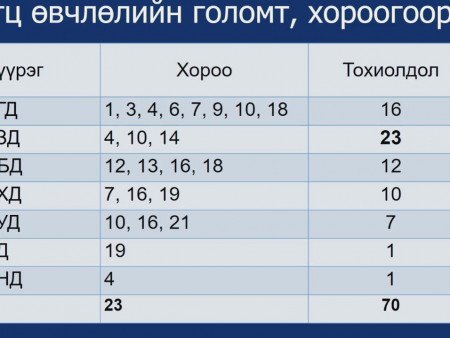 ШУУРХАЙ :  УЛААНБААТАР хотод голомтлон гарсан халдварын тоо 70-д хүрлээ