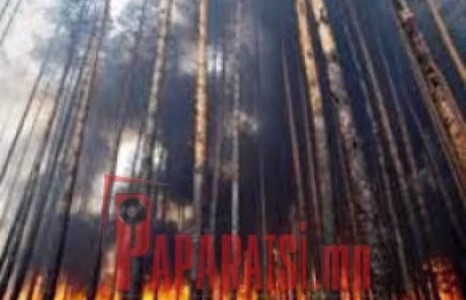 Үүлэнд нөлөөлж хур тунадас оруулжээ 