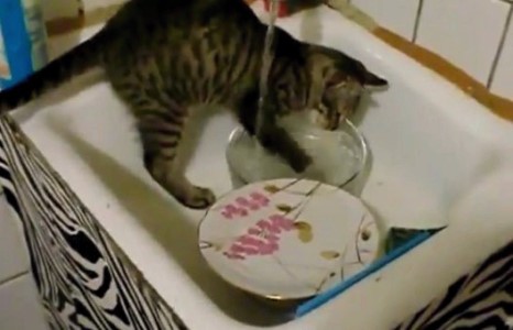 Аяга угаагч