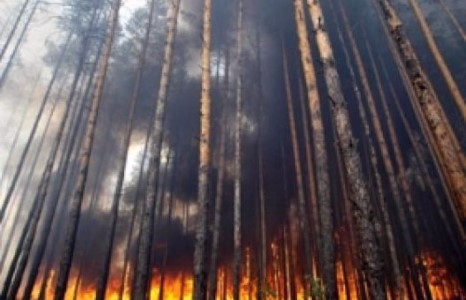 ЦАГ АГААРЫН ТАЛААР