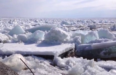 Дэлхийн дулаарал