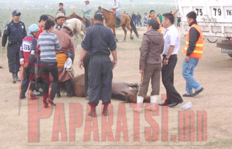  ТОД МАГНАЙН ЭМГЭНЭЛ