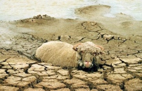  Сонин хачин зүйлс