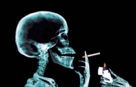 Тамхи эр эрхтэний ургалтанд сөрөг нөлөөтэй 