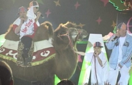 ICE TOP - Шартай