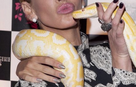 Сара Хардингийн шинэ “найз”