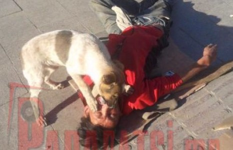 Хүн атлаа нохойны доор