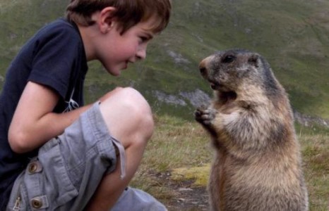 Тарвагануудтай найзалсан жаалхүү