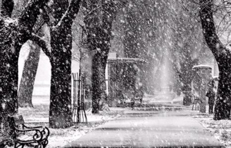 Монголд цас их гоё ордог  