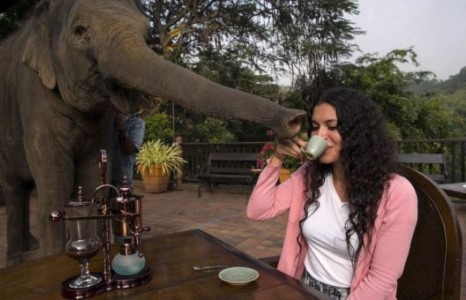 Кофег ялгадсаар хийдэг үү