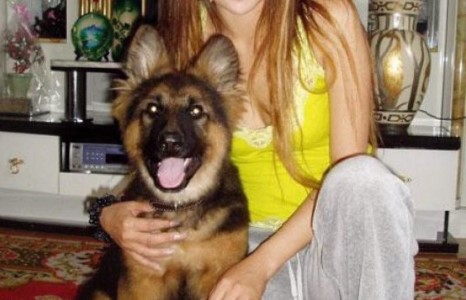 Дуучин Соко