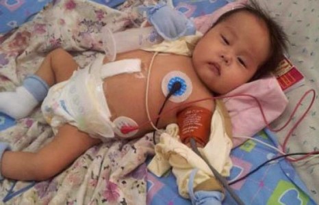 Ихрүүдийн өмнөөс гуйя