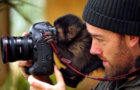 Элдэв зураг