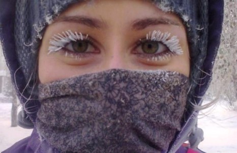 Элдэв зураг