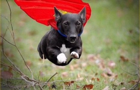 Супер нохой