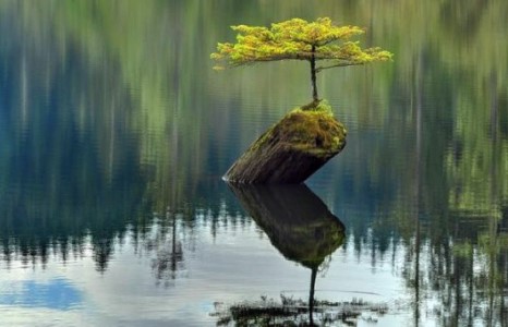 Сэтгэл сэргэм сайхан зураг