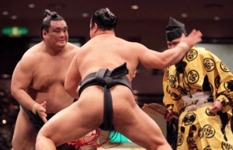 Хакухо накаут хийлээ