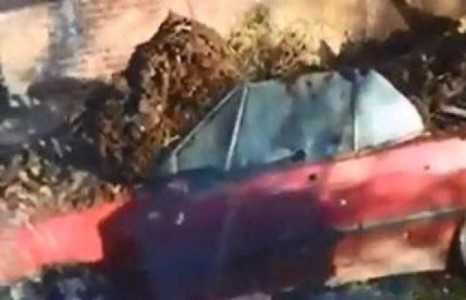 Өтгө бууцаар эхнэрээсээ өшөө авав