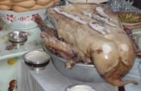 Гурван хонины үнэтэй ууц