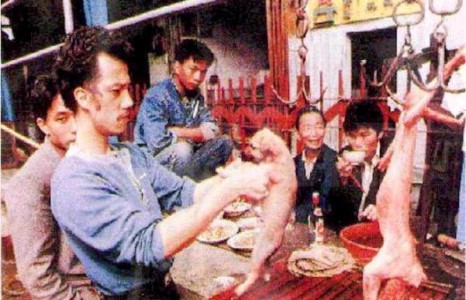 Хятадууд муурын махтай пирожки хийдэг