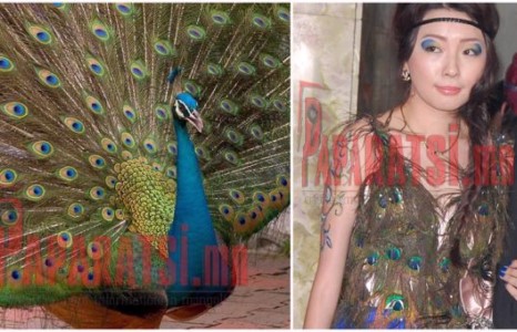 Н.Учралын “Тогос” шиг хөөрхөн гэргий