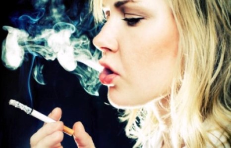 Та тамхи татдаг бол заавал үзээрэй