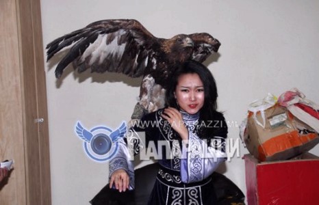 Т.Амина бүргэдээс айдаггүй