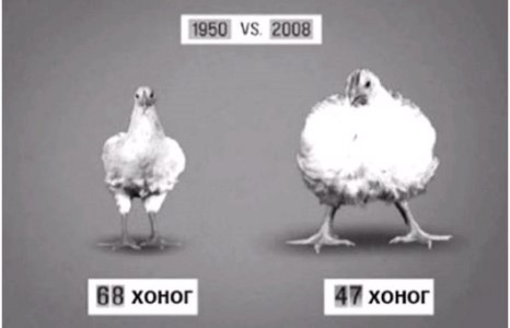 Бид Америкчуудаас азтай.