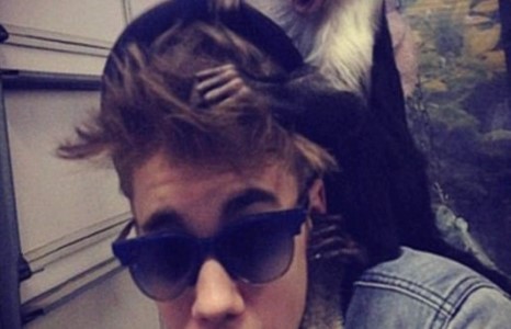 Жастины сармагчинг саатуулжээ