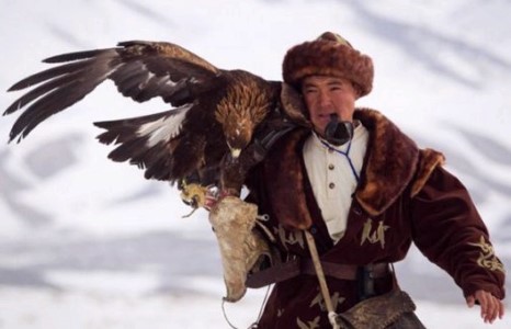 Бүргэдийн ан 